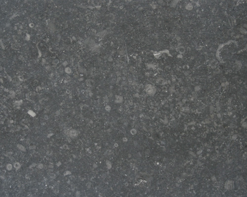 Gris Europa Limestone
