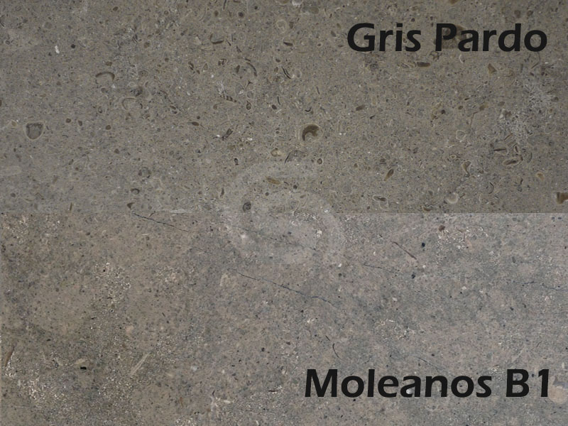 Gris Pardo and Moleanos B1 Limestone
