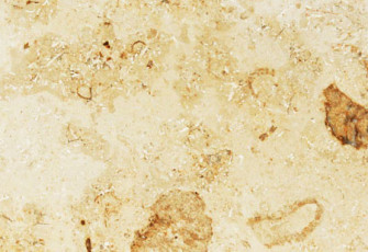 Jura Beige Limestone