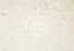 Cabeca Veada First - Polished