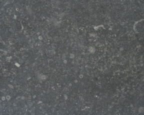 Gris Europa Limestone