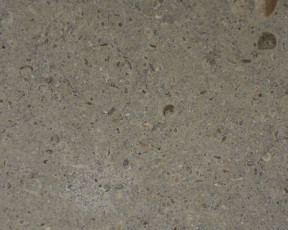 Gris Pardo Limestone
