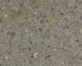 Gris Perlato Limestone